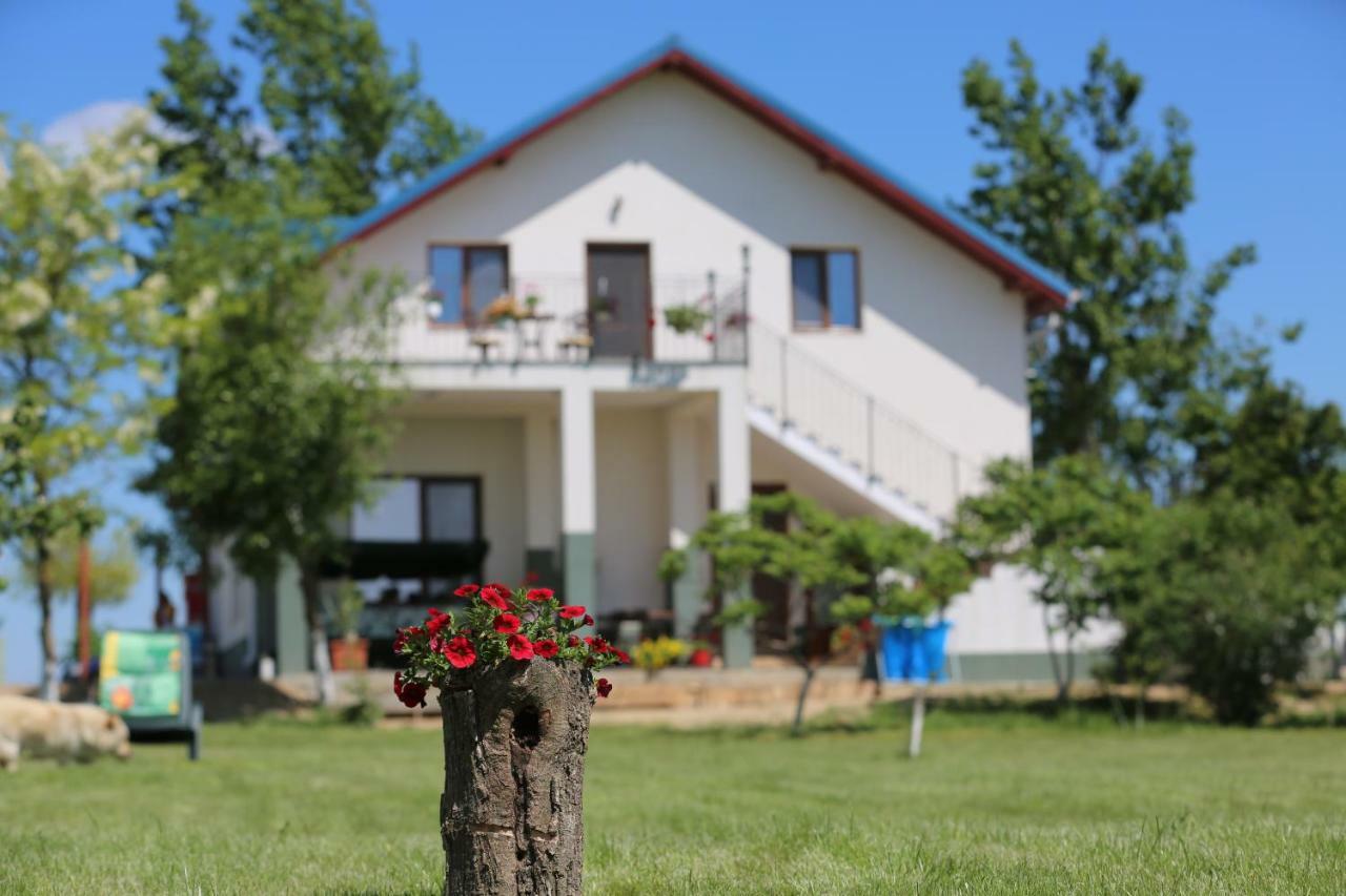 Pensiunea Palaghia Jurilovca Εξωτερικό φωτογραφία
